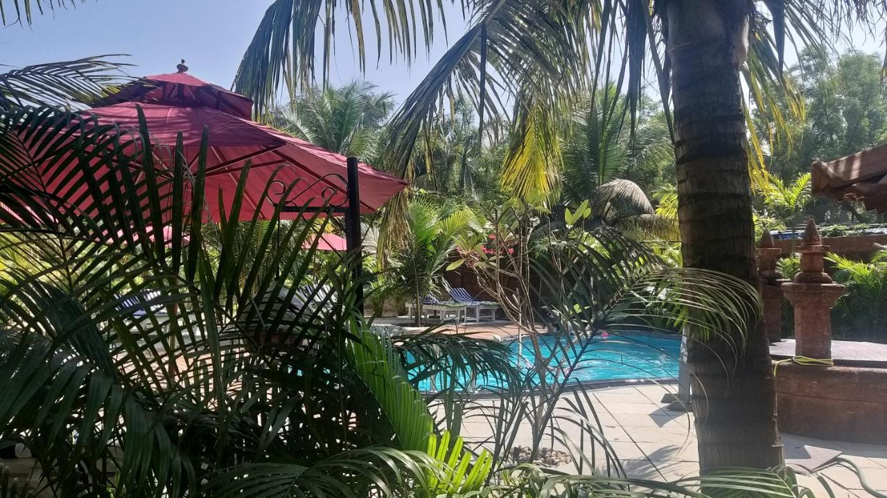 Little India Beach Cottages บากา ภายนอก รูปภาพ