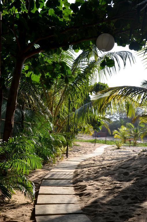Little India Beach Cottages บากา ภายนอก รูปภาพ