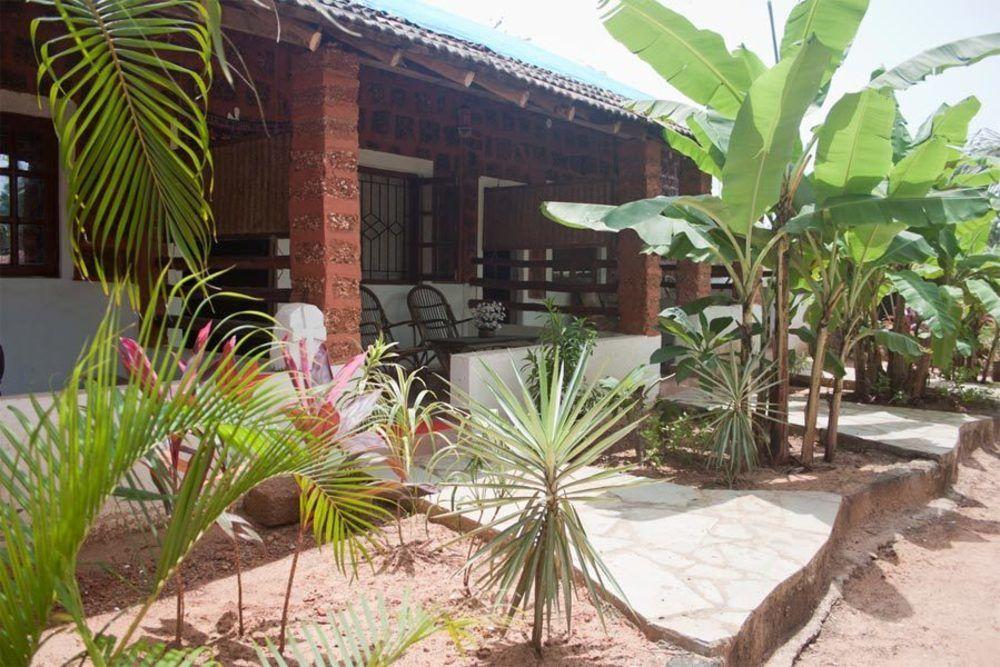Little India Beach Cottages บากา ภายนอก รูปภาพ