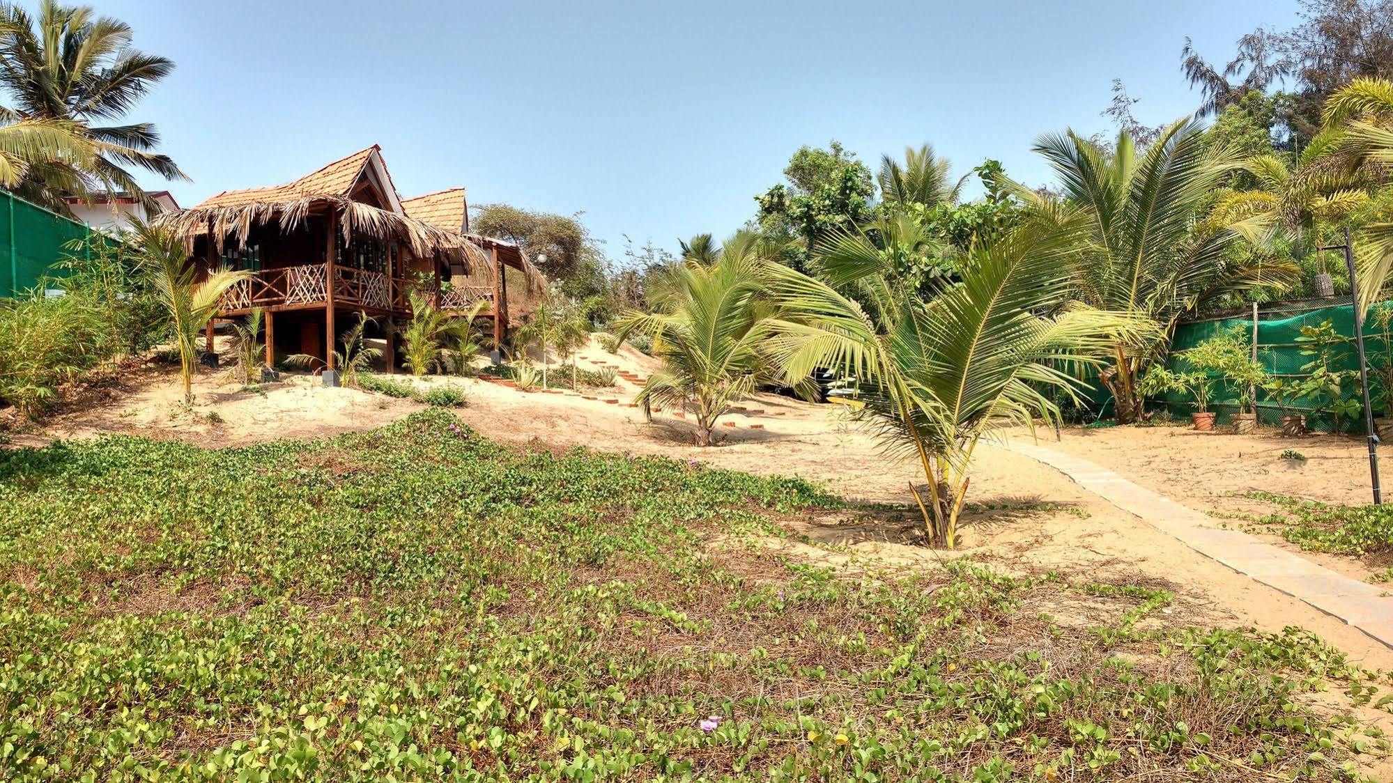 Little India Beach Cottages บากา ภายนอก รูปภาพ
